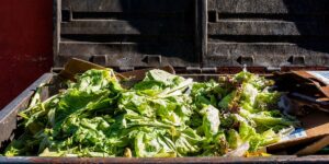 Read more about the article AI Is Now Analyzing Your Garbage to Reduce Food Waste
