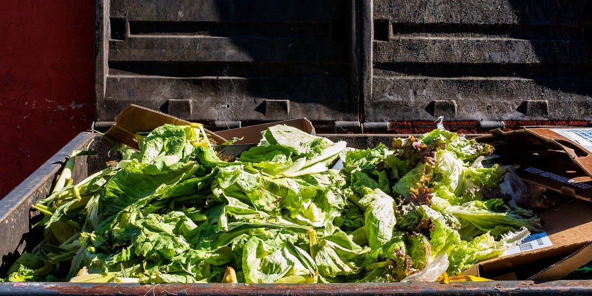 You are currently viewing AI Is Now Analyzing Your Garbage to Reduce Food Waste