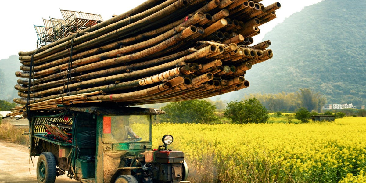 Read more about the article Can Bamboo Replace Paper and Plastic? and Should It?