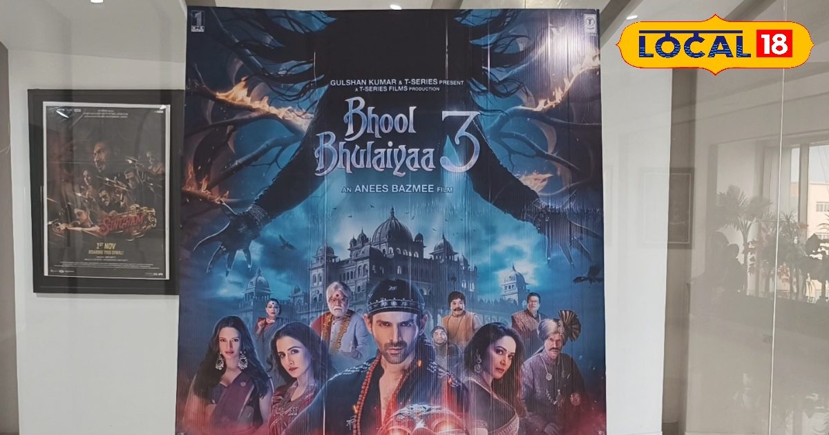 Read more about the article Bhool Bhulaiyaa 3 Movie Review: Chhota Pandit’s charm remains, people said – the film is great, Karthik Aryan’s acting is strong.