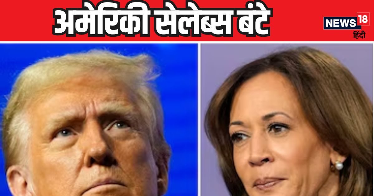 You are currently viewing Hollywood is divided in the US elections over who stands with whom between Donald Trump and Kamala Harris